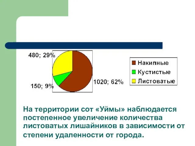 На территории сот «Уймы» наблюдается постепенное увеличение количества листоватых лишайников в зависимости