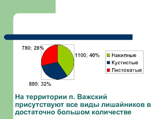 На территории п. Важский присутствуют все виды лишайников в достаточно большом количестве