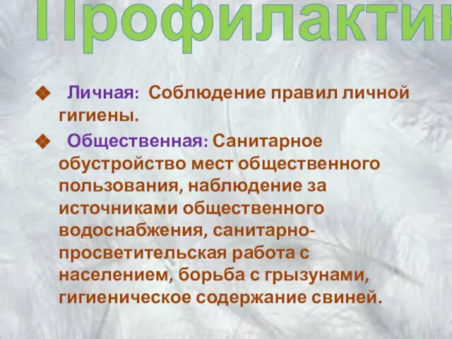 Профилактика Личная: Соблюдение правил личной гигиены. Общественная: Санитарное обустройство мест общественного пользования,