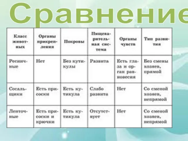 Сравнение: