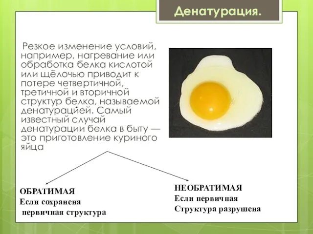 Денатурация. Резкое изменение условий, например, нагревание или обработка белка кислотой или щёлочью