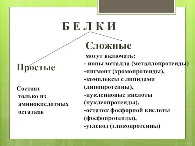 Б Е Л К И Простые Состоят только из аминокислотных остатков Сложные