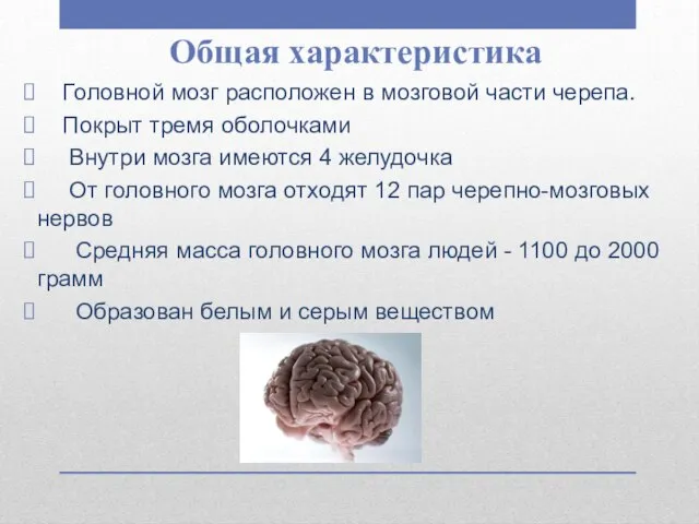 Общая характеристика Головной мозг расположен в мозговой части черепа. Покрыт тремя оболочками