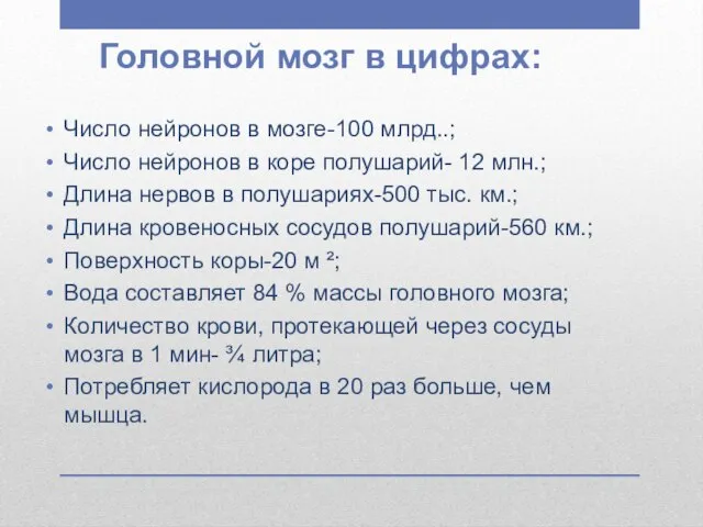 Головной мозг в цифрах: Число нейронов в мозге-100 млрд..; Число нейронов в