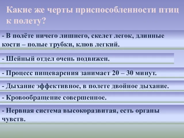 - В полёте ничего лишнего, скелет легок, длинные кости – полые трубки,