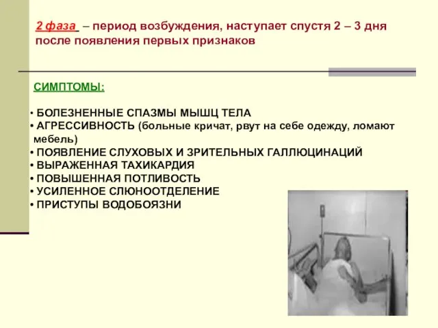 2 фаза – период возбуждения, наступает спустя 2 – 3 дня после