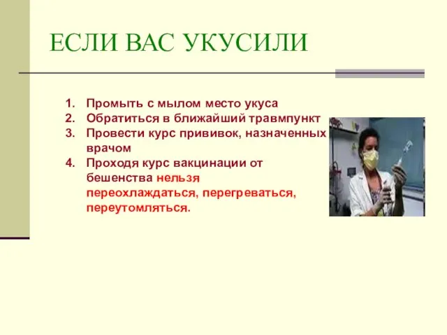 ЕСЛИ ВАС УКУСИЛИ Промыть с мылом место укуса Обратиться в ближайший травмпункт