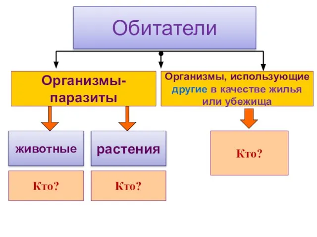 Обитатели Организмы-паразиты животные растения Организмы, использующие другие в качестве жилья или убежища Кто? Кто? Кто?