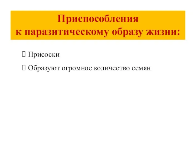 Приспособления к паразитическому образу жизни: Присоски Образуют огромное количество семян