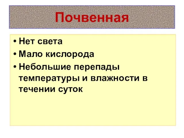 Почвенная Нет света Мало кислорода Небольшие перепады температуры и влажности в течении суток