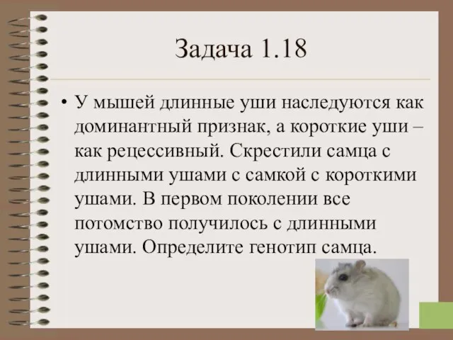Задача 1.18 У мышей длинные уши наследуются как доминантный признак, а короткие