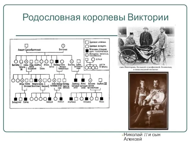 Родословная королевы Виктории Николай II и сын Алексей