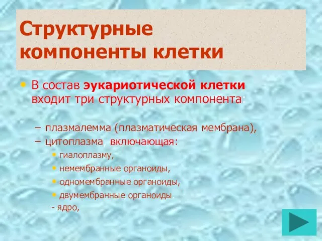 Структурные компоненты клетки В состав эукариотической клетки входит три структурных компонента: плазмалемма