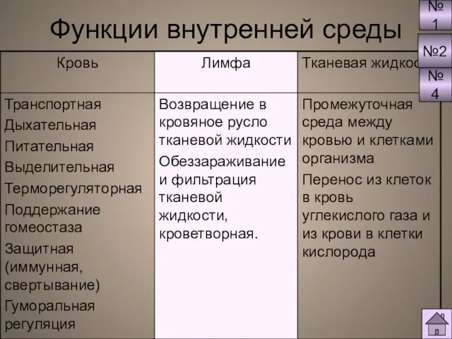 Функции внутренней среды №1 №2 №4