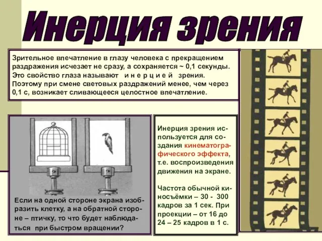 Инерция зрения Зрительное впечатление в глазу человека с прекращением раздражения исчезает не