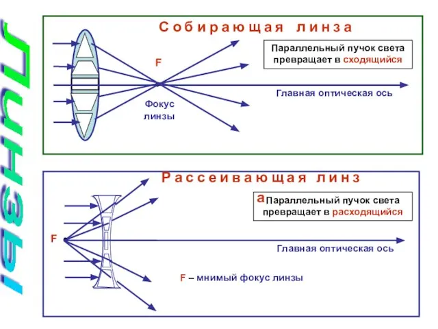 Линзы F Фокус линзы Главная оптическая ось С о б и р