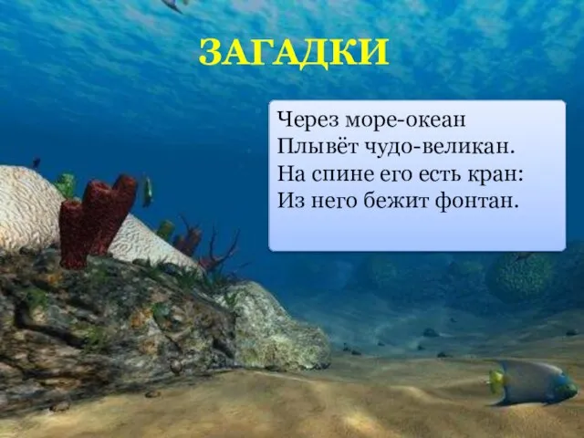 Через море-океан Плывёт чудо-великан. На спине его есть кран: Из него бежит фонтан. ЗАГАДКИ