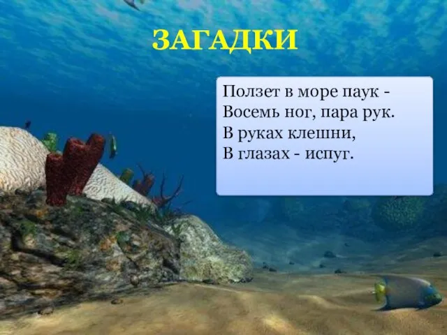 Ползет в море паук - Восемь ног, пара рук. В руках клешни,