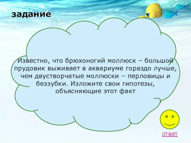 задание Известно, что брюхоногий моллюск – большой прудовик выживает в аквариуме гораздо