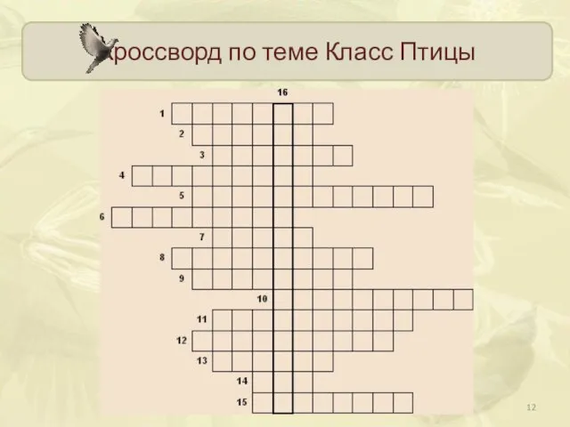 Кроссворд по теме Класс Птицы