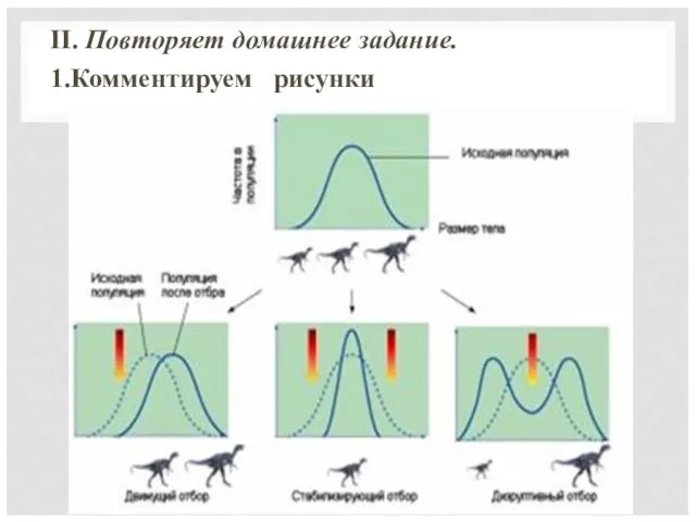 II. Повторяет домашнее задание. 1.Комментируем рисунки