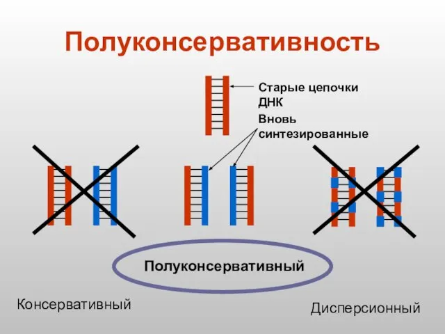 Полуконсервативность Полуконсервативный Консервативный Дисперсионный