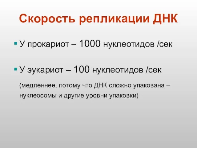 Скорость репликации ДНК У прокариот – 1000 нуклеотидов /сек У эукариот –