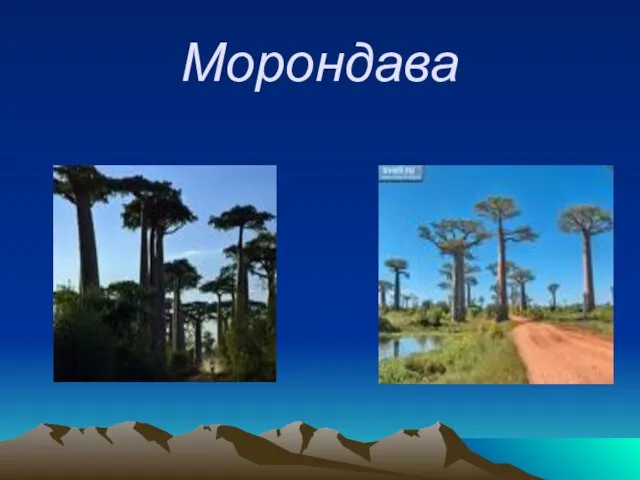 Морондава