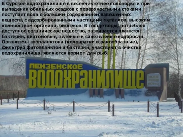 В Сурское водохранилище в весенне-летнее половодье и при выпадении обильных осадков с