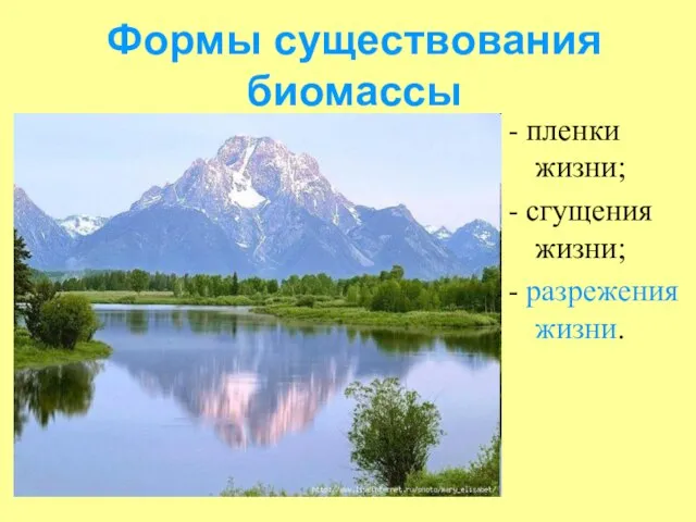 Формы существования биомассы - пленки жизни; - сгущения жизни; - разрежения жизни.