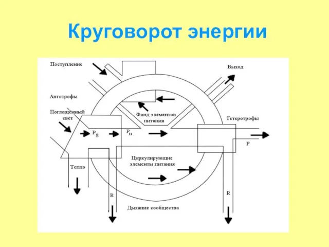 Круговорот энергии