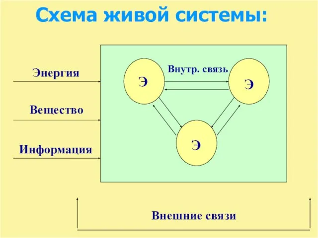 Схема живой системы: Энергия Вещество Информация Внешние связи Э Э Э Внутр. связь