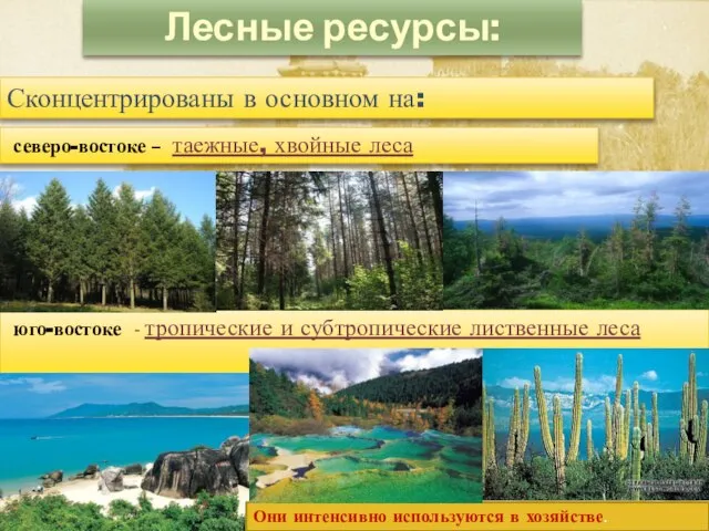 Лесные ресурсы: Сконцентрированы в основном на: северо-востоке – таежные, хвойные леса юго-востоке