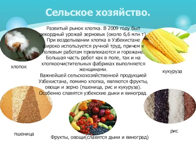 Сельское хозяйство. хлопок пшеница рис Фрукты, овощи(славятся дыни и виноград) кукуруза Развитый