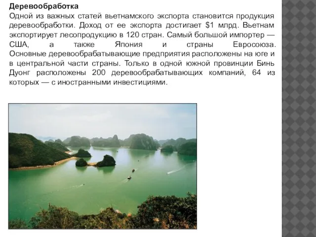Деревообработка Одной из важных статей вьетнамского экспорта становится продукция деревообработки. Доход от
