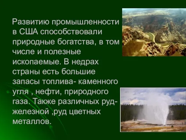 Развитию промышленности в США способствовали природные богатства, в том числе и полезные