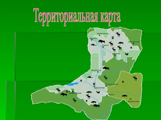 Территориальная карта