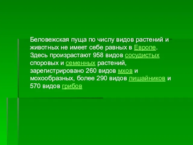 Беловежская пуща по числу видов растений и животных не имеет себе равных