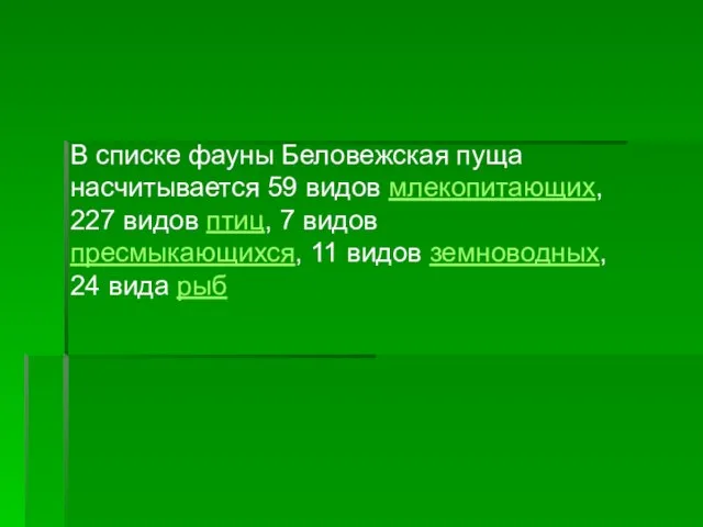 В списке фауны Беловежская пуща насчитывается 59 видов млекопитающих, 227 видов птиц,