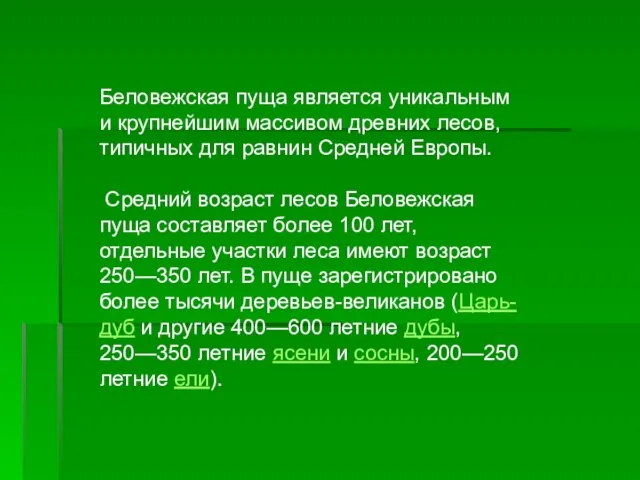 Беловежская пуща является уникальным и крупнейшим массивом древних лесов, типичных для равнин