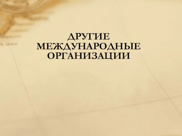 Другие международные организации