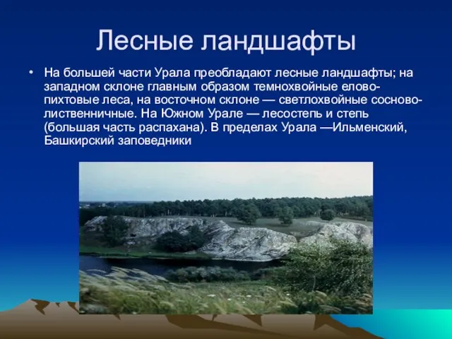 Лесные ландшафты На большей части Урала преобладают лесные ландшафты; на западном склоне