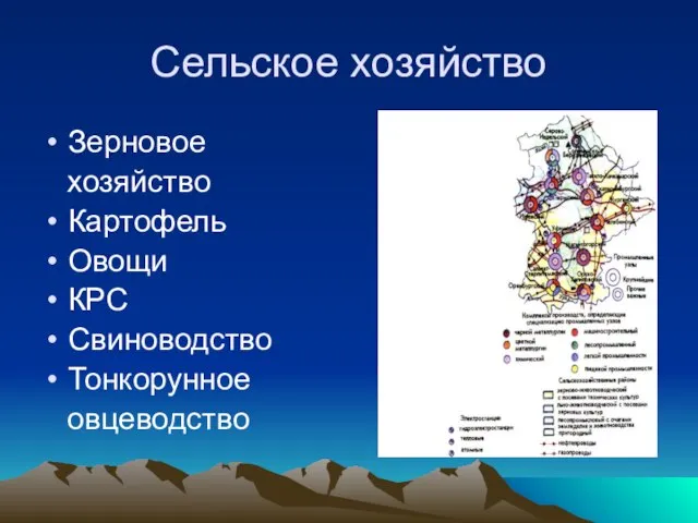 Cельское хозяйство Зерновое хозяйство Картофель Овощи КРС Свиноводство Тонкорунное овцеводство