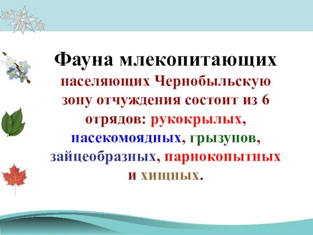 Фауна млекопитающих населяющих Чернобыльскую зону отчуждения состоит из 6 отрядов: рукокрылых, насекомоядных,