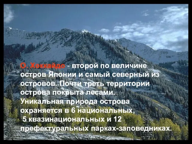 О. Хоккайдо - второй по величине остров Японии и самый северный из