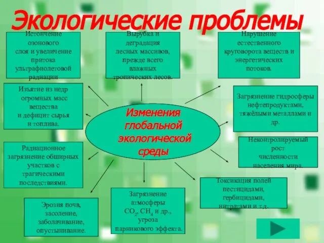 Экологические проблемы Изменения глобальной экологической среды Истончение озонового слоя и увеличение притока