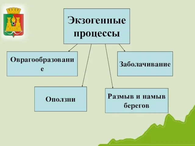 Экзогенные процессы Размыв и намыв берегов Оврагообразование Оползни Заболачивание