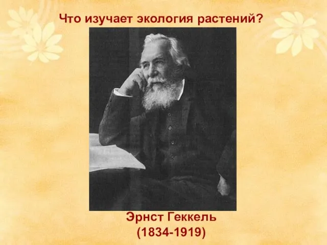 Что изучает экология растений? Эрнст Геккель (1834-1919)