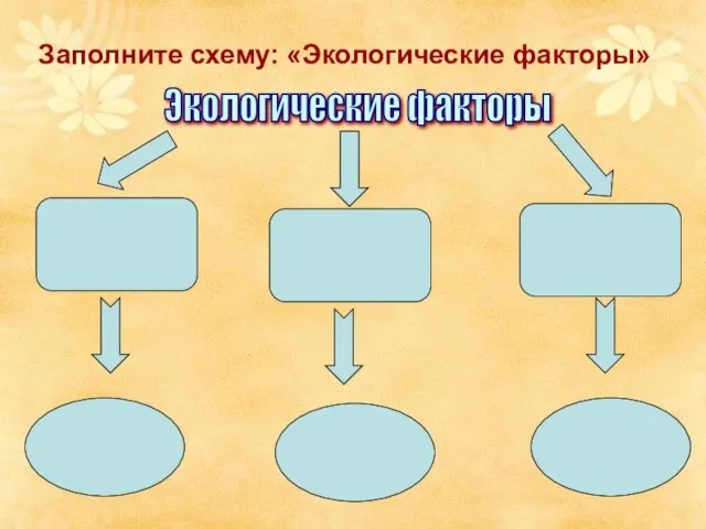 Заполните схему: «Экологические факторы» Экологические факторы