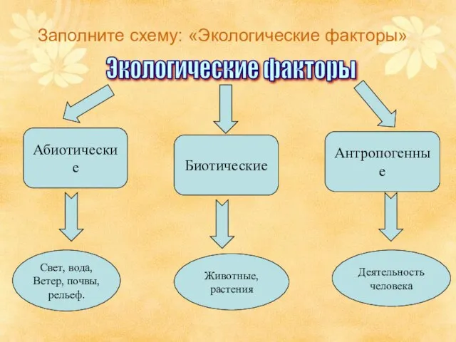 Заполните схему: «Экологические факторы» Экологические факторы Абиотические Биотические Антропогенные Свет, вода, Ветер,